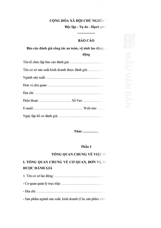 Báo cáo an toàn lao động