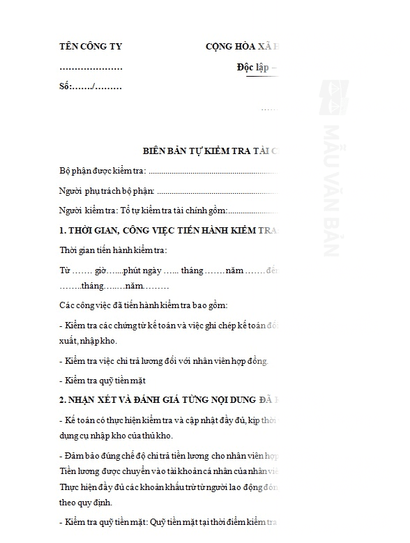 Biên bản tự kiểm tra tài chính