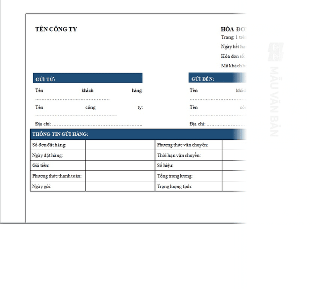  Mẫu hóa đơn chiếu lệ